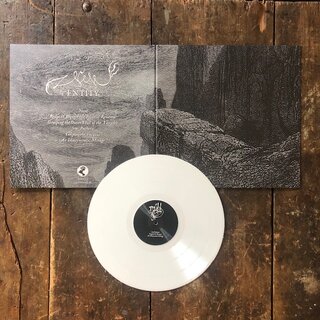 Nll - Entity (12 LP)